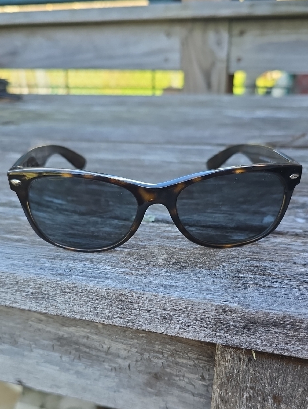 Ray-Ban Tortoiseshell Frames